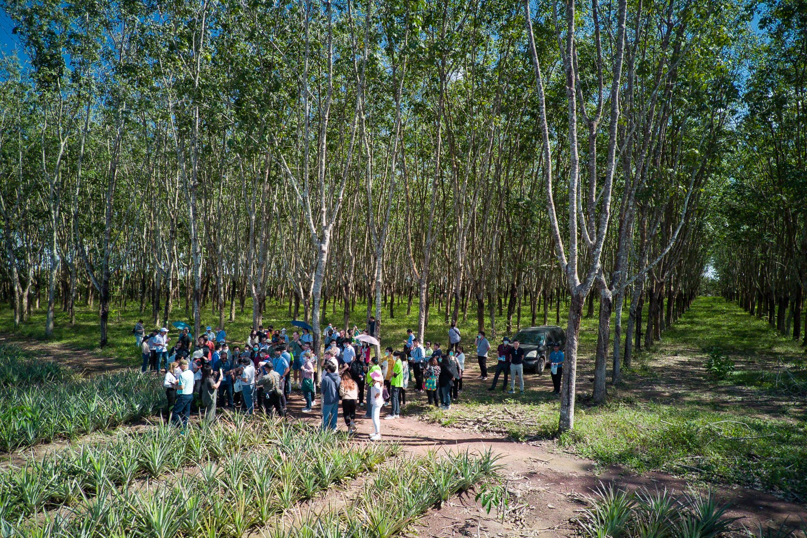 A group of people standing in a forest