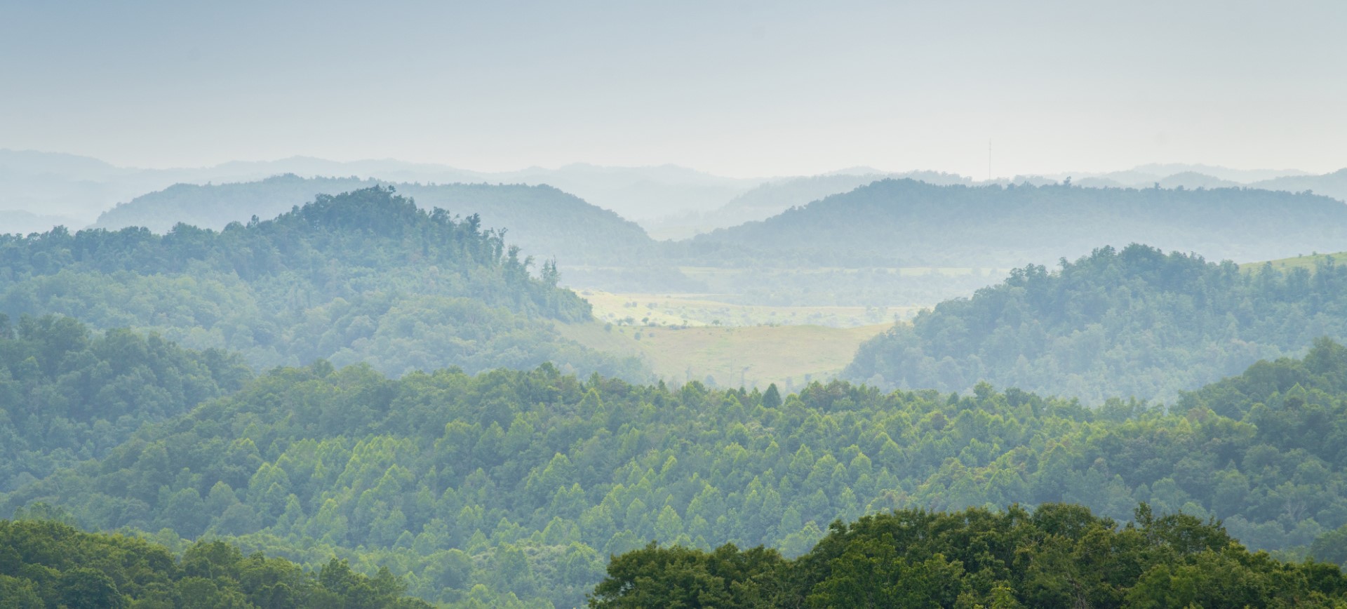 wide angle view of Appalachian mountain forests in Kentucky