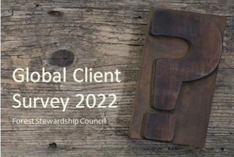 global client survey 