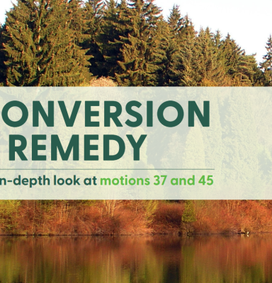 Conversion Remedy